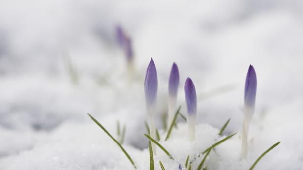 Баба Марта си отива с дъжд и сняг