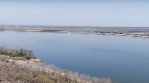 Сланотрън крие богатство под земята