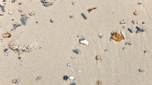 Мистерията на „острова от миди“: Древно сметище или следа от цунами?