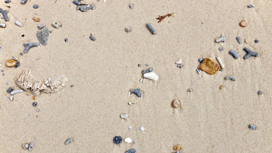 Мистерията на „острова от миди“: Древно сметище или следа от цунами?