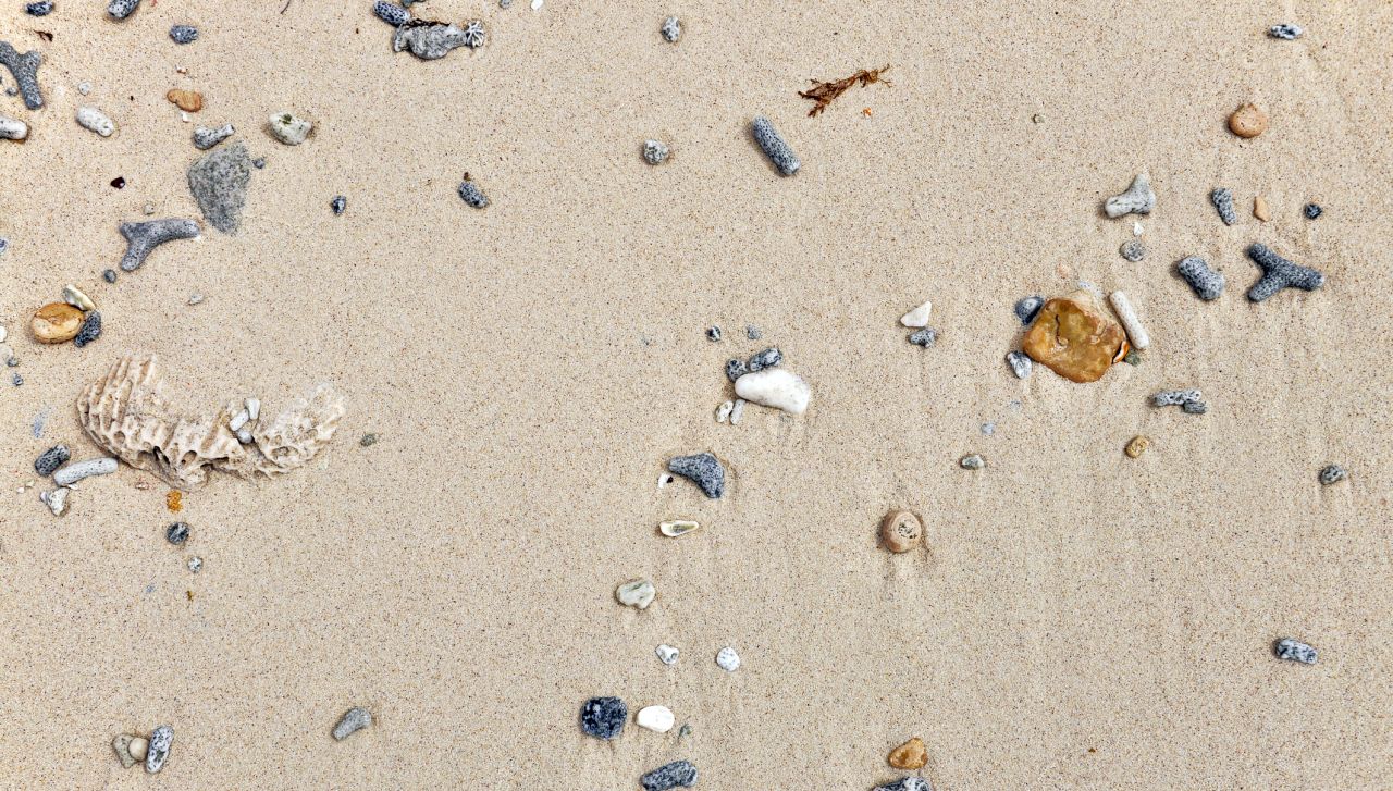 Мистерията на „острова от миди“: Древно сметище или следа от цунами?