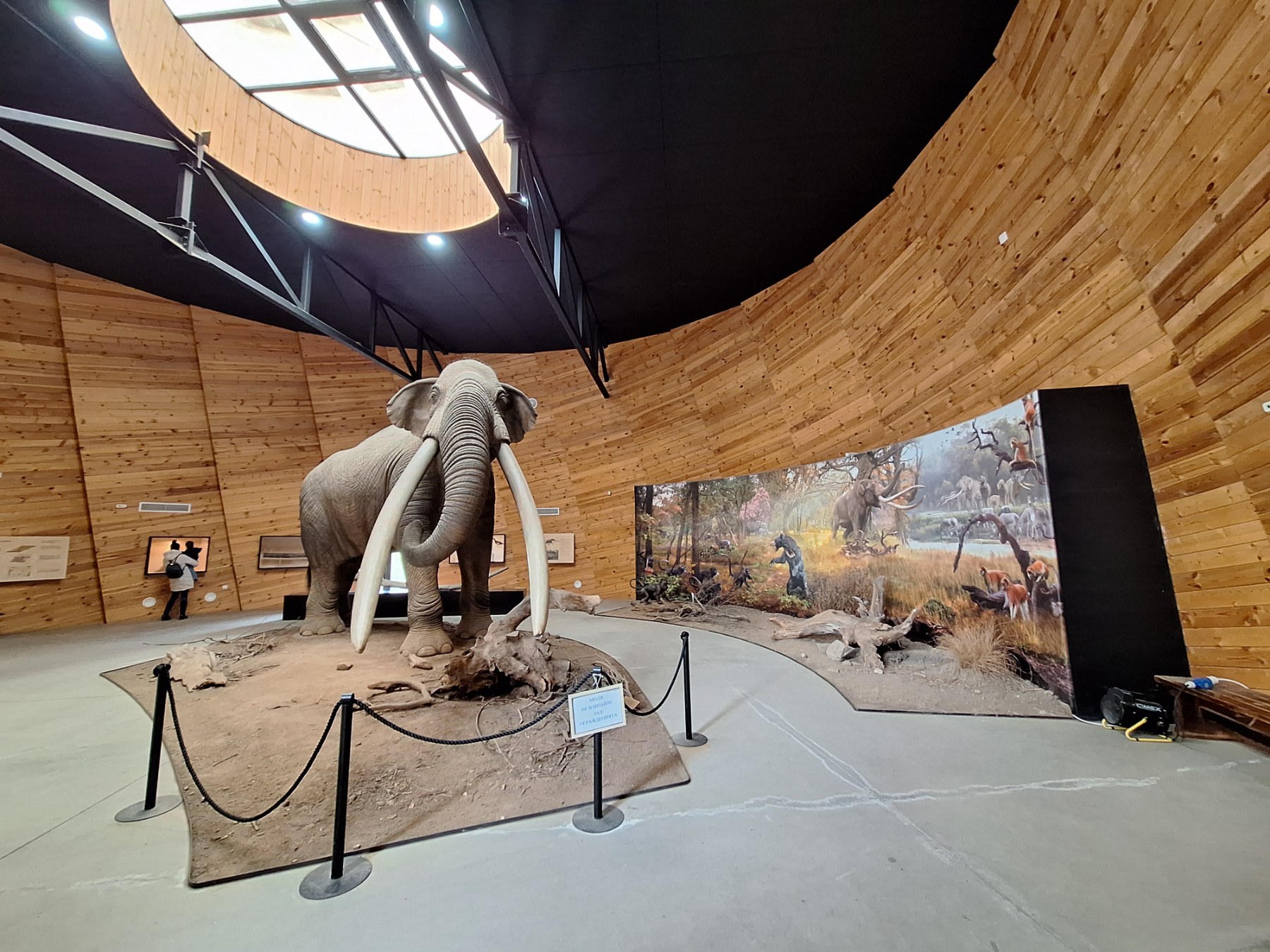 <p>Плиоценският парк в Дорково е най-голямото находище на Балканите, събрало над 600 кости от 30+ вида древни животни. С уникалния си музей то разкрива вълнуваща история за климата и природата в Източна Европа преди милиони години.</p>