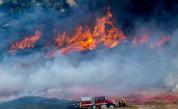 <p>Огнен ад в Калифорния: Горски пожар доведе до евакуации</p>