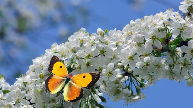 Великден идва с разкъсване на облаците