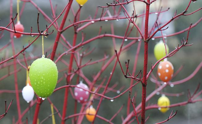 Прогнозни температури на НИМХ за събота, 11 април