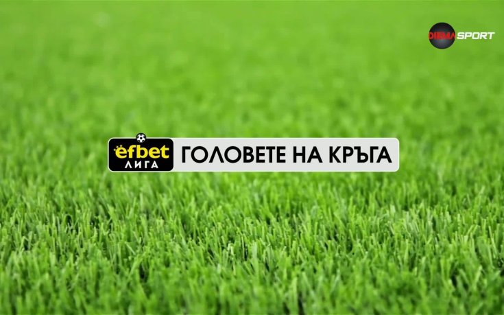 Головете на кръга (29 кръг, 11.04.2026)