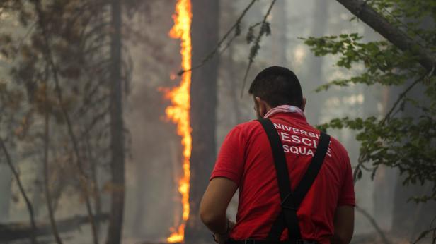 Къде у нас има убежища при кризисни ситуации