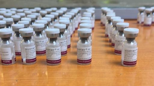 Заловиха 119 флакона ботулинов токсин на „Капитан Андреево“