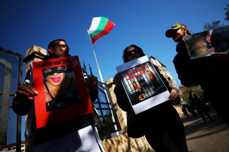 Протест срещу насилието над животни