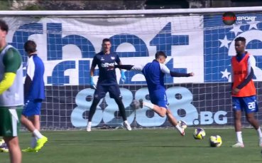 Монтана – Добруджа /състави/