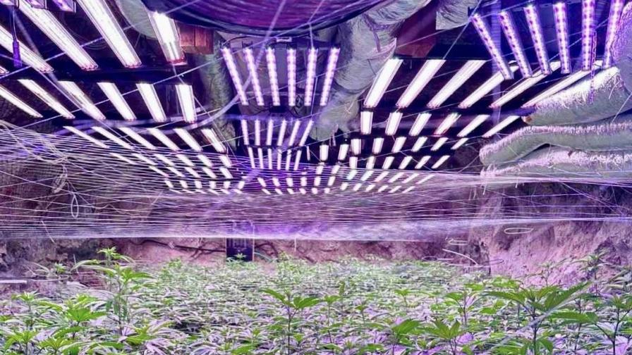 Наркооранжерия без аналог в мина край Кюстендил