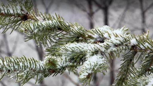 Сняг заваля в Троянския Балкан