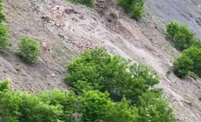 <p>Важно за пътуващите по АМ &bdquo;Струма&ldquo;</p>