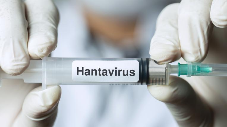 Хантавирус