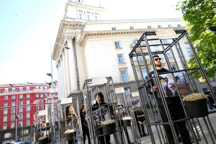 протест телета
