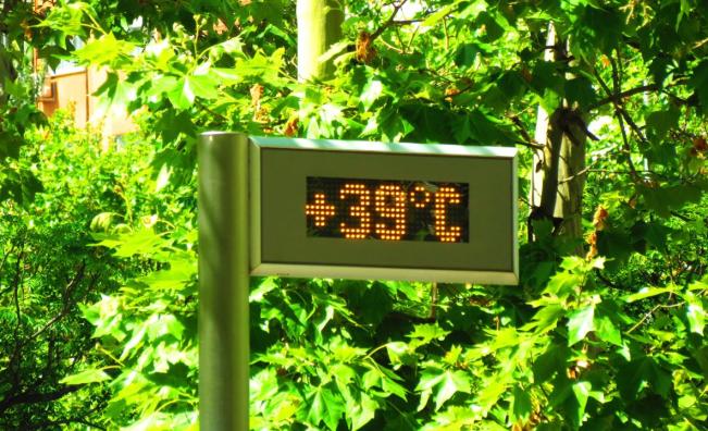България в изпепеляваща прегръдка: Жълт код и до 39° във вторник