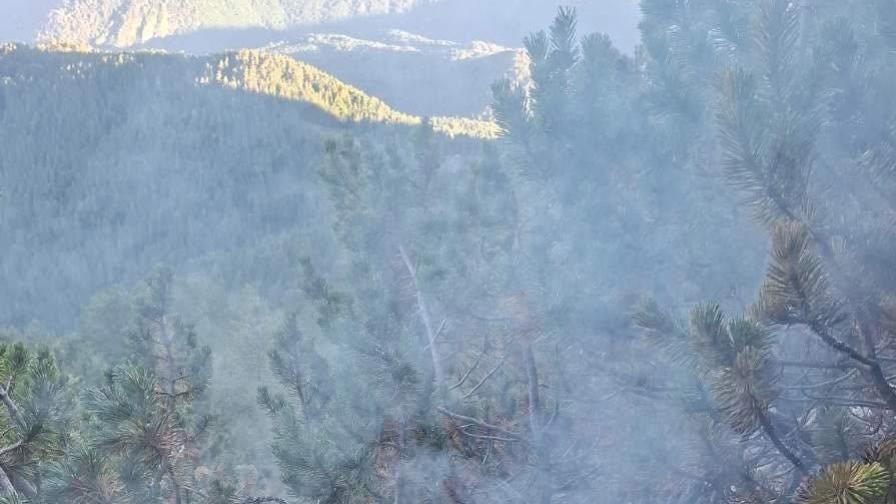 С акция без аналог доставиха вода и оборудване в Пирин на гасящите пожара