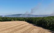 Продължава борбата с пожара край Камен връх, огънят е засегнал около 1600 декара гора