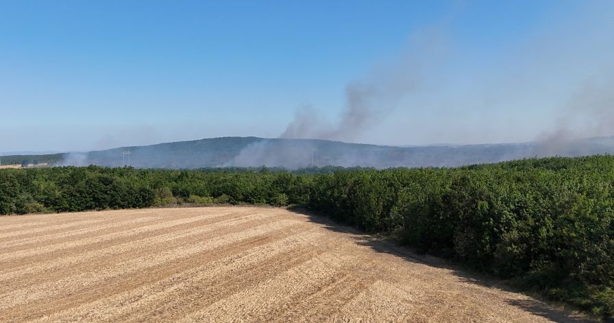 Продължава борбата с пожара край Камен връх, огънят е засегнал около 1600 декара гора
