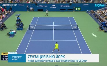 Аржентинец изхвърли Джокович на старта на US Open