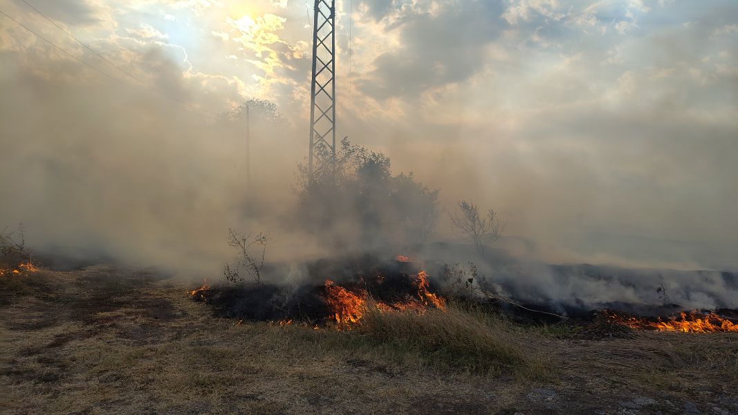 <p>Пожари пламнаха на няколко места в страната.</p>