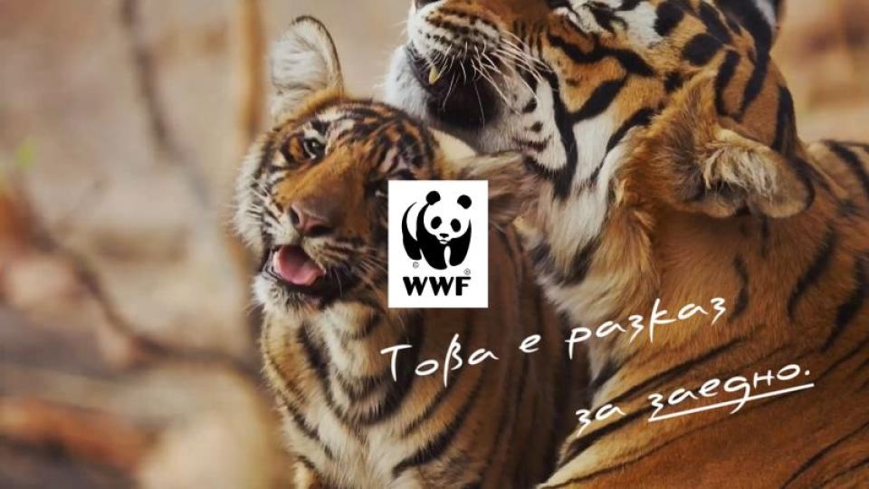 WWF: Размерът на популациите на диви животни в света е намалял със 73% за 52 години