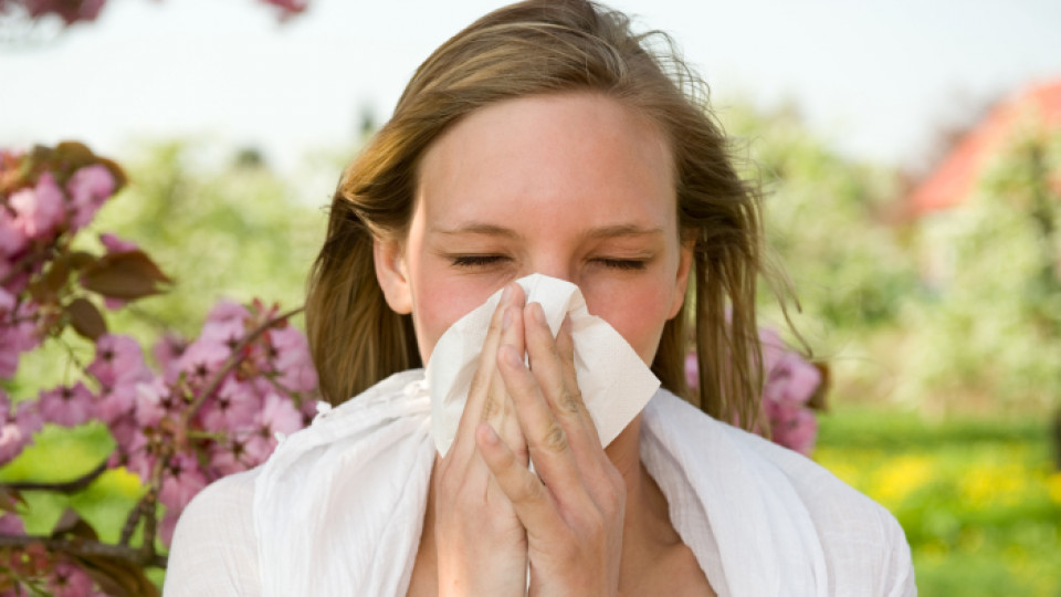 Да се предпазим от алергиите