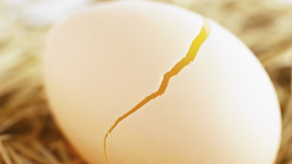 Как да запазим яйца за по-дълго