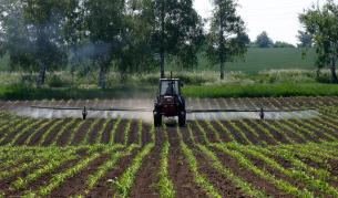 В с. Голям Поровец, Разградско, пръскат с хербициди засети площи с царевица