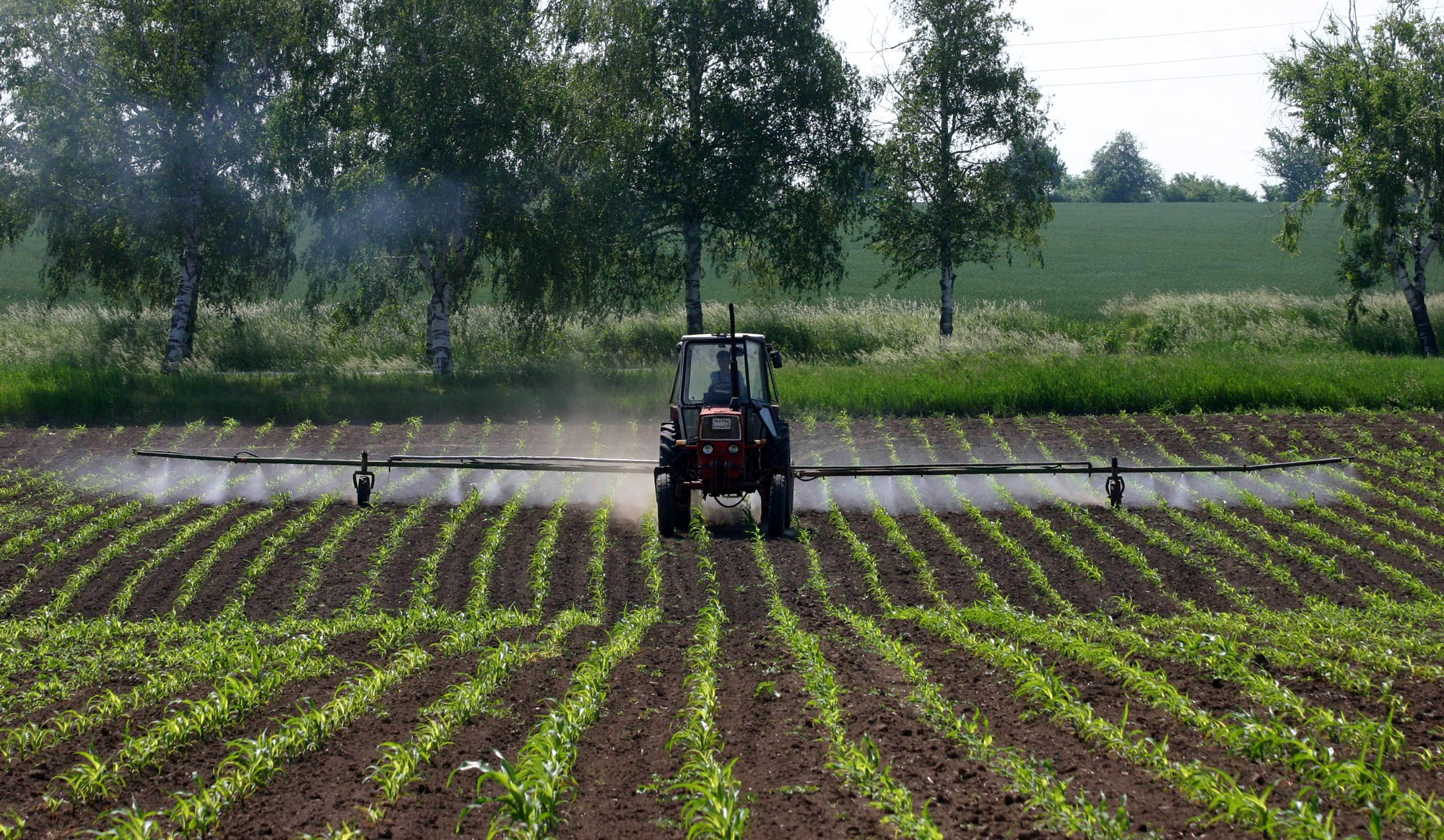 Без GlobalGap трудно ще се продават плодове и зеленчуци