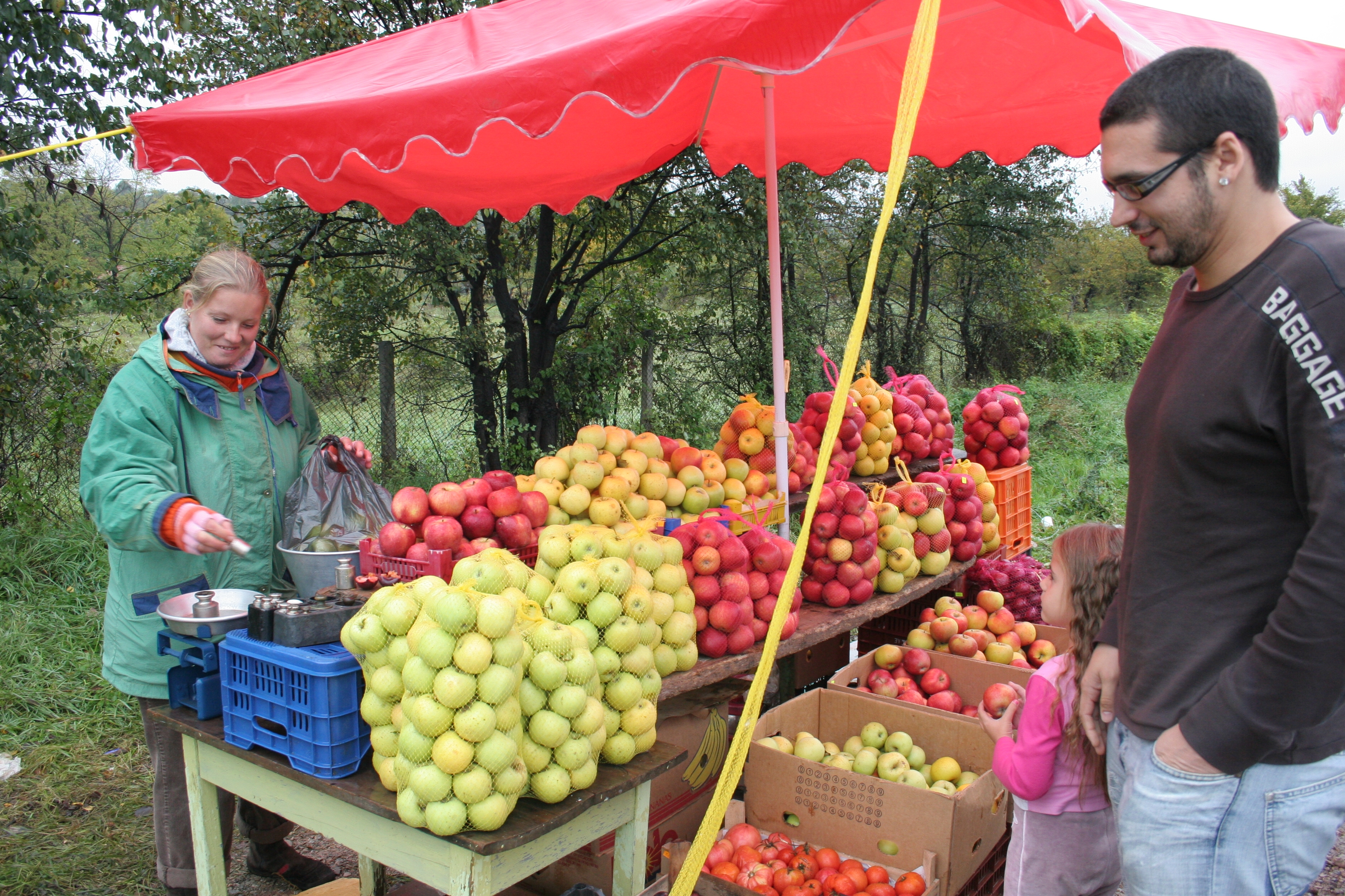 Жегата убивала нашите ябълки и череши
