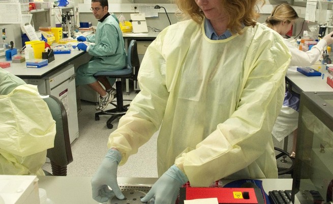 Свинският грип - създаден погрешка в лаборатория?