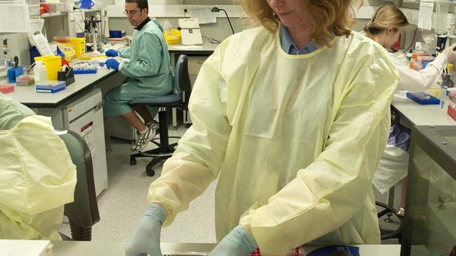 Свинският грип - създаден погрешка в лаборатория?