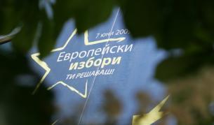 Изборите за Европейски парламент - Кой? Какво? Колко?