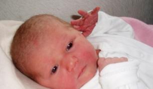 ДАНС задържа двама адвокати за трафик на деца 