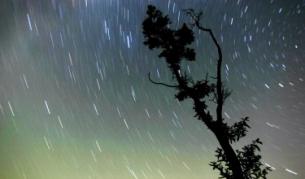 Внимание! Падащи звезди!