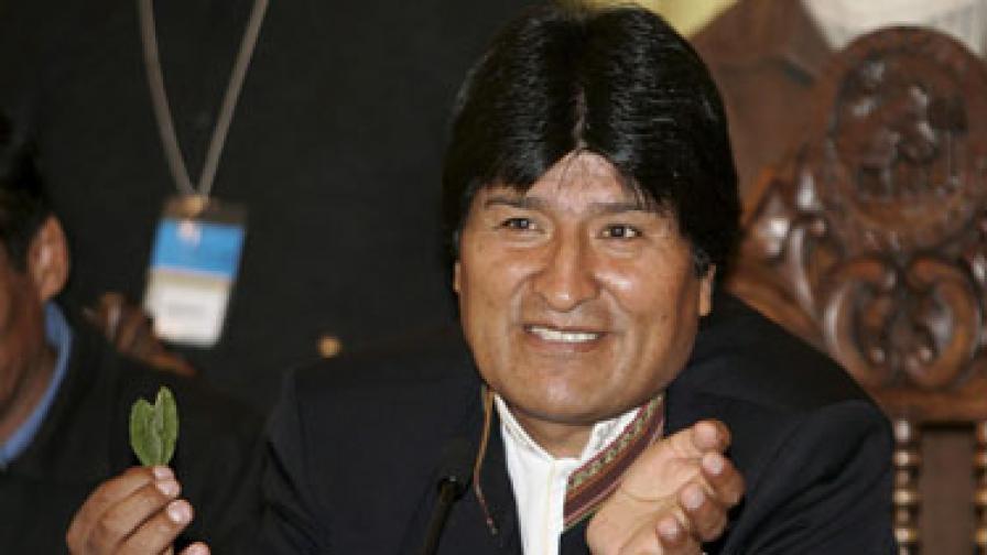 Боливийският президент Ево Моралес сам отглежда кока. На снимката позира с листа от растението