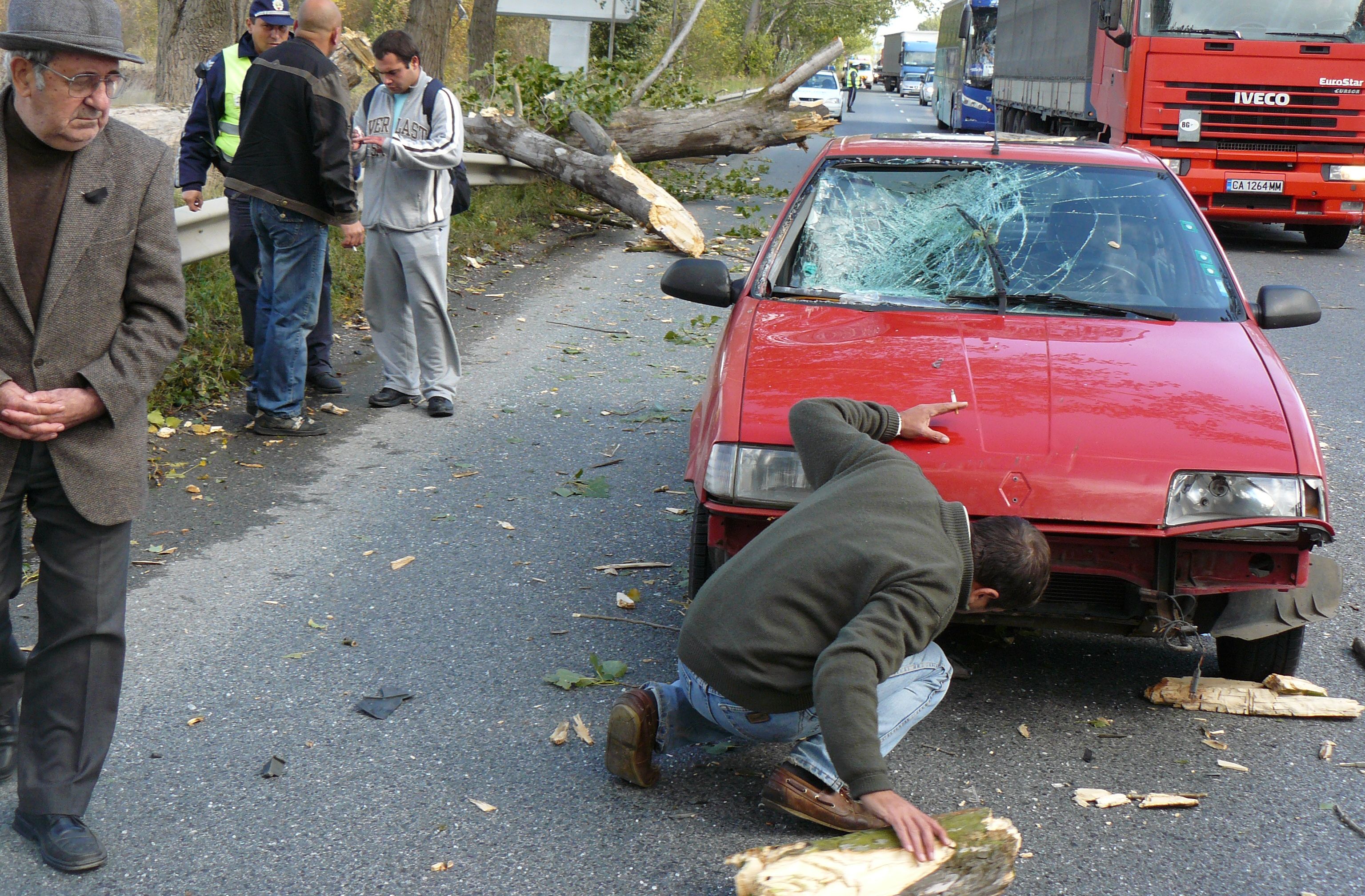 Синоптиците: Настъпилото застудяване е трайно