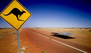 Слънчевите автомобили със собствено рали