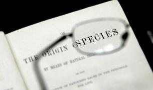 Дарвин от тоалетна на търг