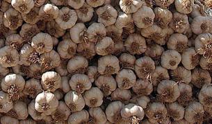 Сръбски антигрип мезета