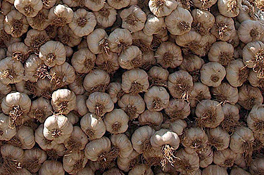 Сръбски антигрип мезета