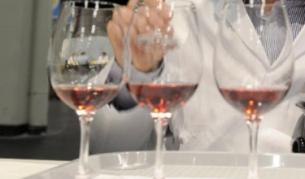 Английското вино печели от глобалното затопляне