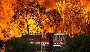 Огромни пожари отнеха живота на над 180 души в Австралия през февруари