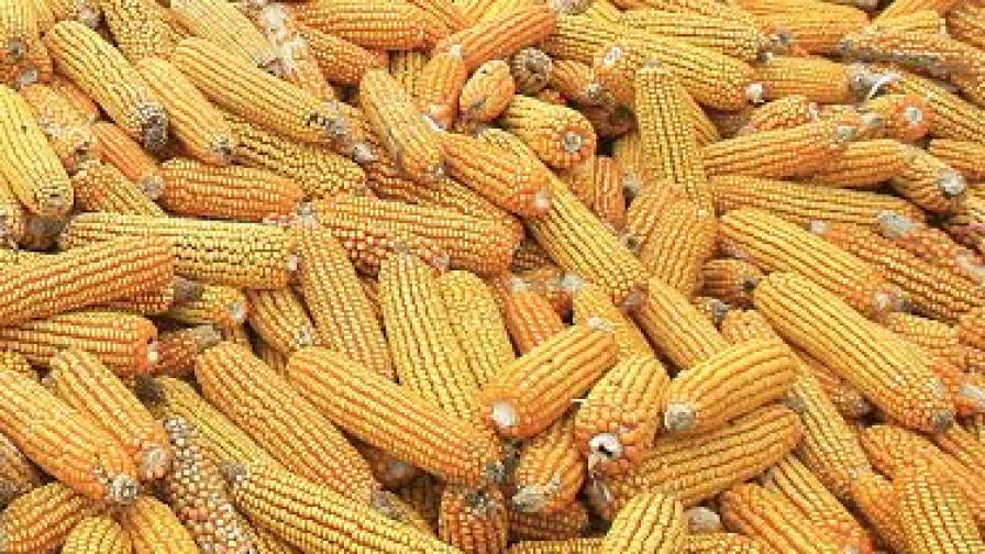 Кубик дърва за огрев струвал колкото цял тон царевица