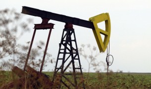 През лятото на м.г. подновиха работа старите сондажните кладенци край Тюленово и Шабла, където се добива малко нефт