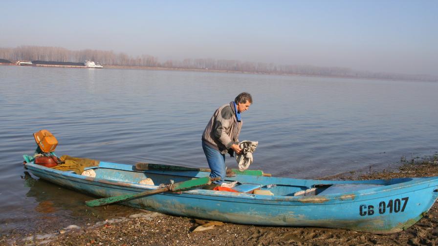 В Дунав се появи китайски поспаланко