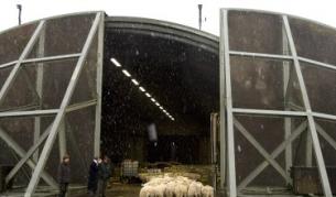 В Холандия пък са преустроили в кошара един от хангарите на бивша военновъздушна база.