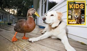 Животни актьори в NGKids през април 