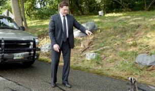 Енотът се оказва най-добрият сред четириногите актьори